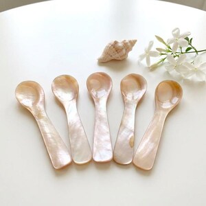 Puede incluir: Cinco cucharas de nácar con un brillo nacarado están dispuestas sobre una superficie blanca. Una pequeña concha y una ramita de flores blancas se colocan cerca. Estas cucharas son ideales para servir condimentos.