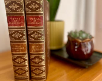 Rare Illustrated Victorian George Eliot Book Set – Collector's Edition