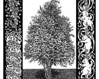 Hawthorn Tree Folklore A5 Print