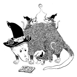 POSTCARD - Possum witchlings