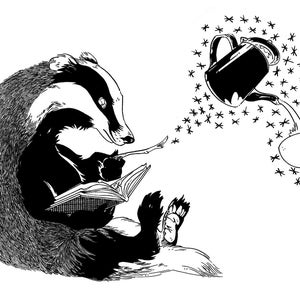 POSTCARD - Badger magic wand