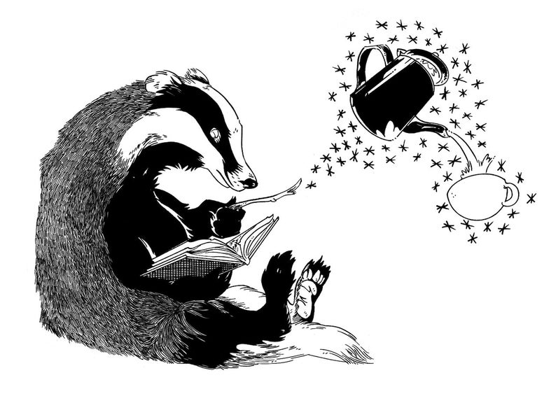 POSTCARD Badger magic wand image 1