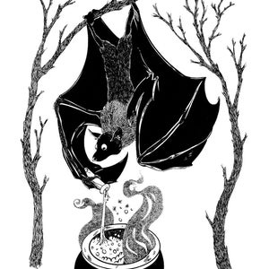 CARTE POSTALE - Chaudron de chauve-souris
