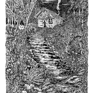 May include: A black and white illustration of a forest path leading to a small cabin with a single lit window. The path is lined with trees and bushes, and there are mushrooms growing on the ground. An owl is perched on a tree trunk.