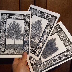 The Folklore of Trees : Apple, Hawthorn and Juniper. Set of 3 A5 Prints.