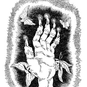 POSTCARD - Hand of Glory and Moths.