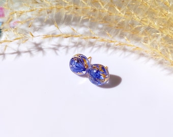blue cornflower earrings with gold on stainless steel earstud