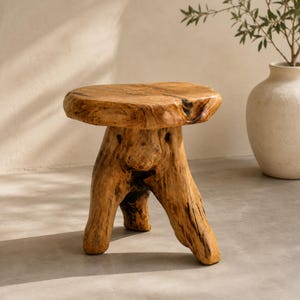 May include: A small, natural-toned wooden stool crafted from a single piece of tree root. The stool features a smooth, circular top with visible wood grain and three sturdy, organic-shaped legs that provide a stable base for this piece of furniture.