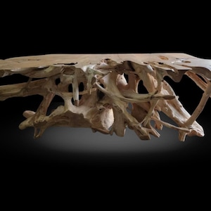 May include: A unique, natural wood coffee table with a light brown finish. The table features an organic design with a complex network of interwoven branches and a flat tabletop. The table's dimensions are approximately 60 inches long, 30 inches wide, and 18 inches high.