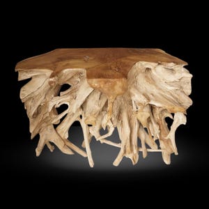 May include: A natural wood console table with a unique design. The table features a smooth, rectangular top and a base constructed from intertwined, light-colored wooden roots and branches. The table is approximately 60 inches long.