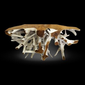 May include: A unique, handcrafted wooden table with a natural, organic design. The tabletop is a warm brown, supported by a complex network of white-painted roots and branches. The table's dimensions are approximately 60 inches long and 30 inches wide.