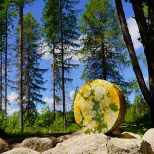 Op de afbeelding: Een ronde trommel met een levendig geel en groen botanisch patroon op het trommelvel, met een houten frame met een gevlochten textuur aan de zijkant, rechtop geplaatst op een grote, lichtgekleurde rots in een bosrijke omgeving.