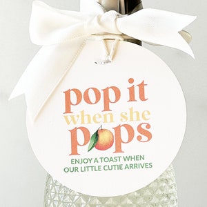 Little Cutie Baby Shower Favor Tags, Orange Theme Champagne Bottle Tags, Personalized Baby Shower Keepsake, Mini Champagne Labels with Twine
