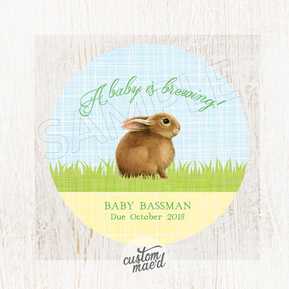 bunny rabbit baby shower