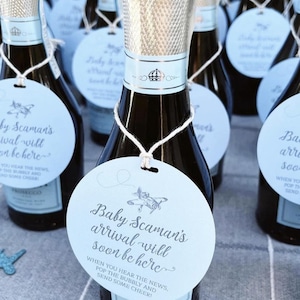 Airplane Baby Shower, Vintage Airplane Theme, Boy Baby Shower Ideas, Champagne Baby Shower Tags, Personalized, Around the World, Wine Tags