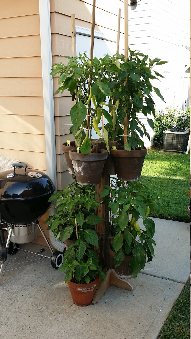 7 to 10 inch terracotta pot brackets, Pot holders, Clay pot holders, Clay pot brackets, Herb garden, Flowers, Strawberries, Peppers, image 6