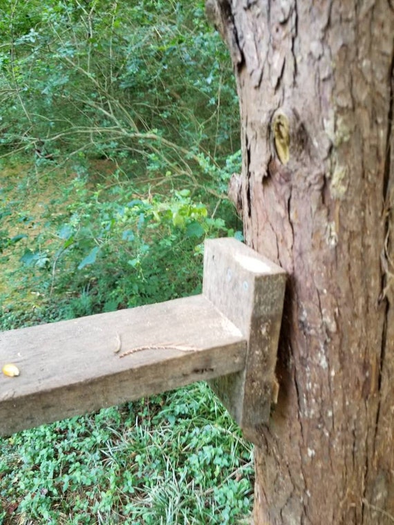 Squirrel Feeder Spinning Squirrel Feeder Rustic Turning Etsy