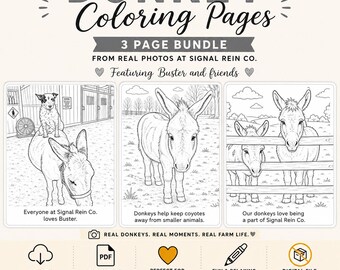 Donkey Coloring Pages Bundle – Printable Farm Animal Coloring Sheets – Donkey PDF Download – Real FarmPhotos  Animal Coloring Pages for Kids