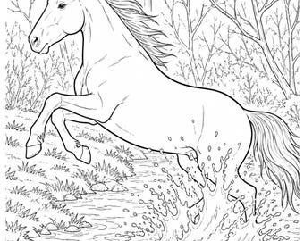Horse Coloring Page Printable | Farm Horse Coloring Sheet | Instant Download PDF