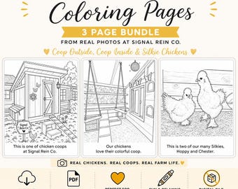 Chicken Coop Coloring Pages Printable | Silkie Chicken & Coop Bundle | Farm Coloring Pages PDF Download