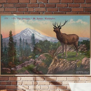 Mt. Rainier Bull Elk Druck – Edward H. Mitchell Postkarte, San Francisco, 1909 (digitaler Download)
