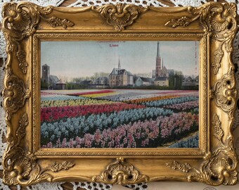 1905 Lisse Hyacinth Fields Postcard Print – Dutch Bulb Farm, Church View (Digital Download)