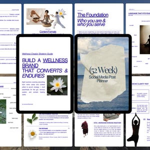 Strategiegids voor wellnessmakers | Contentsysteem voor coaches op het gebied van sociale media, zenuwstelsel en somatische genezing | Instagram-groei