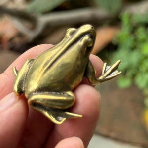 May include: A small, metallic, gold-toned frog figurine with a smooth, polished surface. The frog is depicted in a seated position with its hind legs tucked and front legs extended, showcasing detailed anatomical contours and a realistic shape.