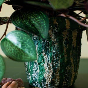 Bark — Handmade Papier-Mâché Plant Pot, Forest Green, 12cm