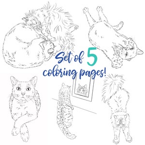 Set of 5 Cat Coloring Pages - Adult or children’s coloring sheets - Printable