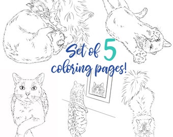 Set of 5 Cat Coloring Pages - Adult or children’s coloring sheets - Printable