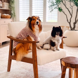 May include: A long-haired sable and white collie-type dog wearing a maroon and white crocheted sweater and a small black and white Pomeranian dog wearing a grey and white crocheted sweater, both sitting on a white textured armchair.