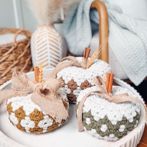 CROCHET PATTERN + VIDEO + App, Diamond Granny Stitch Pumpkin, Fall Home Decor, Autumn Thanksgiving Centerpiece, Charts, Instant Download