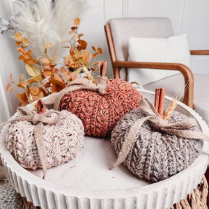 Three knitted pumpkins in shades of beige, burnt orange, and gray sit on a round white tray, complemented by autumnal foliage and a cozy chair in the background.