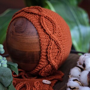 May include: A knitted baby hat in a burnt orange color with a cable knit pattern. The hat is sitting on a wooden surface with a sprig of greenery and cotton balls.