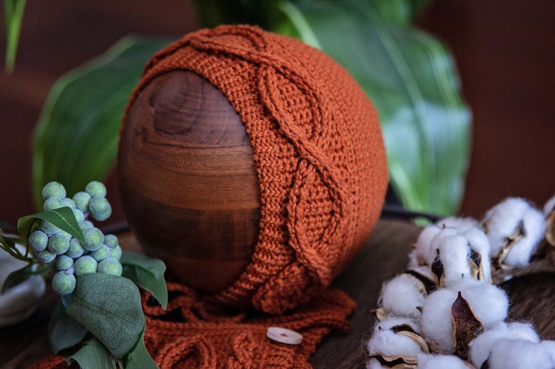 May include: A knitted baby hat in a burnt orange color with a cable knit pattern. The hat is sitting on a wooden surface with a sprig of greenery and cotton balls.