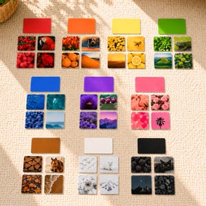 Color Matching Game, Real Photo Color Sorting Activity, Montessori Learning, Toddler Learning, Educational Preschool Printable