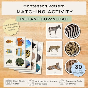 Jogo Montessori de Correspondência de Padrões de Animais, Atividade de Classificação de Estampas de Animais com Fotos Reais, Material para Educação Infantil, Kit de Aprendizagem Inicial, Download Digital