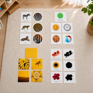 May include: A collection of educational learning cards featuring various animals, patterns, shapes, and flowers. The cards display images of a zebra, leopard, tiger, orange, clock, pizza, beach ball, bee, lemon, geranium, sunflower, and hibiscus with text labels.