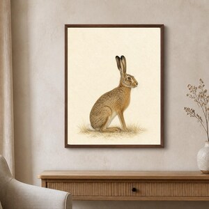 Könnte beinhalten: Ein gerahmter Kunstdruck mit einer detaillierten Illustration eines braunen Hasen, der im Profil auf einem Fleck trockenem Gras sitzt. Der Hase hat lange Ohren, einen weißen Schwanz und strukturiertes Fell vor einem cremefarbenen Hintergrund.