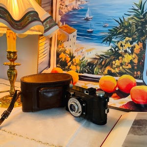 Może przedstawiać: Czarny aparat fotograficzny Mosquito II ze srebrnym obiektywem i brązowym skórzanym etui. Aparat posiada charakterystyczną okrągłą obudowę obiektywu z nadrukowanym napisem Mosquito II z przodu. Etui ma owalny kształt i jest wyposażone w pasek.