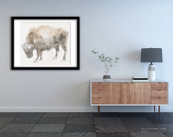 16X20 Original Graphite Bison #1