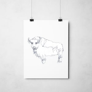 Wandering Line Bison – Fine Art Print