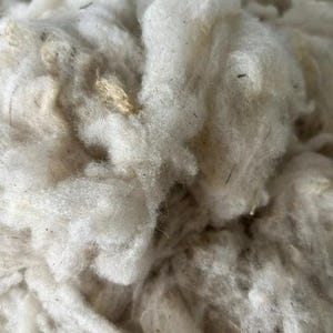 May include: A pile of raw, unrefined white cotton fibers with visible natural plant debris and small brown flecks throughout the soft, fluffy, and fibrous mass. The texture appears dense and clumped, showcasing the natural state of the material.