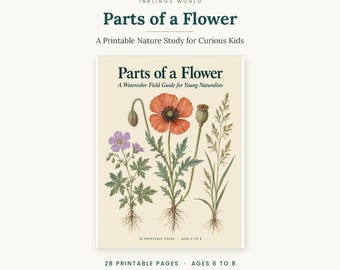 Parts of a Flower: A Watercolor Field Guide for Young Naturalists — (28 Pages)