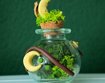 Pote Lunar - Coleção Whimsy Woods