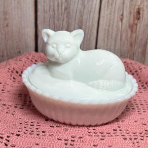 Cat on Nest Glass - Etsy