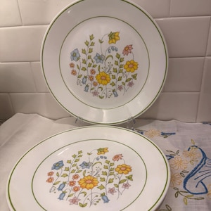 Può includere: Due piatti piani in ceramica bianca con un motivo floreale centrale composto da fiori gialli, blu e rosa con foglie verdi. Ogni piatto presenta un sottile bordo circolare verde lungo la circonferenza, creando un design pulito e semplice.