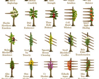Lámina, póster o página imprimible de grimorio Ogham, con nombres y significado. Alfabeto celta de árboles, brujería, paganismo, druidismo, Libro de las Sombras, árboles.