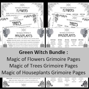 Green Witch Bundle: Magic of Flowers, Magic of Trees & Magic of Houseplants Grimoire Pages. Wicca Pagan Druid Printables Book of Shadows
